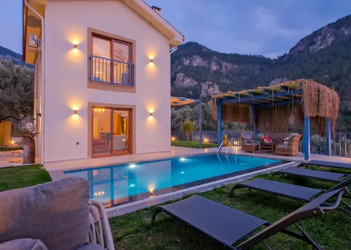 Hira Faralya Φετιγιέ