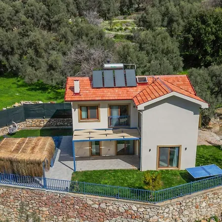 Hira Faralya * フェティエ